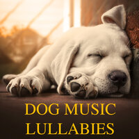 Dog Meditation - Pet Jones
