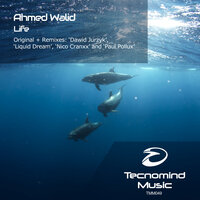 Life - Ahmed Walid
