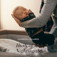 Gentle Moonbeam - Classical Lullabies