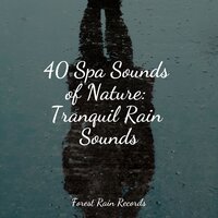 Water, Creek, Birds, Morning - Soothing Chill Out For Insomnia & Relaxing Sleep Music & Meditation & Stress Relief Therapy