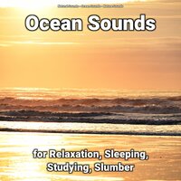 Ocean Sounds to Calm a Crying Baby - Nature Sounds & Ocean Sounds & Natural Sounds