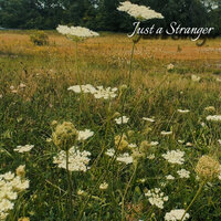 Just a Stranger - Miracle