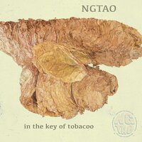 In The Key of Tobacoo - Nico Gray The Ancient One