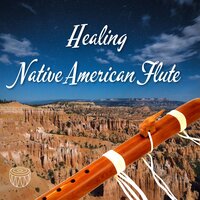 Power of Flying Eagle (with Rain Sound) - Native Drumming World