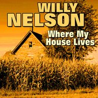 Mr. Record Man - Willie Nelson