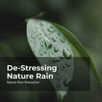 Peaceful Paradise Rain - Rain Recorders & Rainfall & Nature Rain Relaxation