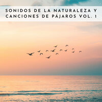 Ruidos De La Naturaleza - Musica relajante & Sonidos de la Naturaleza para Dormir & Musica Para Dormir Bebes