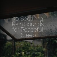 Water, Creek, Birds, Morning - Deep Sleep Music Experience & Avslappning Sound & Sounds of Rain & Thunder Storms