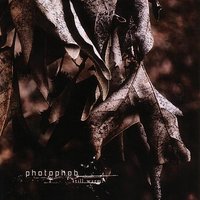 What Went Wrong - Photophob