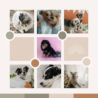 Opulent Smooth Jazz Sax Ballad - Vibe for Dog Anxieties - Calming Music for Dogs