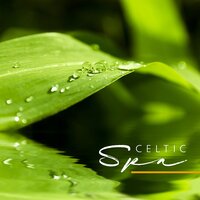 Song of Sun - Tranquility Area of Zen & Celtic Chillout Relaxation Academy