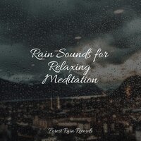 Medium Rain - Nature Sound Series & Sons da natureza HD & Academia de Música con Sonidos de la Naturaleza