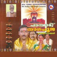 Vighnam Karthumakarthum - Jayasree