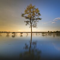 Chill Tunes - Gentle Rain Makers & Master Meditação & Meditacao Clube