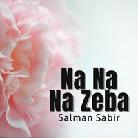 Na Nan De Khapara - Salman Sabir