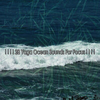 Жидкое исцеление - Winds and Oceans