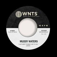 Don't Go No Farther - Muddy Waters