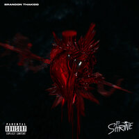 Stop Crying - Brandon ThaKidd
