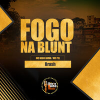 Fogo na Blunt - Mc Pzl & MC Nego Jhow & Dj Brash