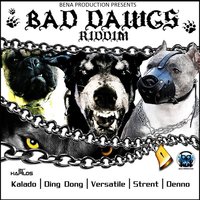 Tun It Up a Notch - DING DONG