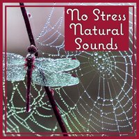 Power Healing Music - Less Stress Music Academy