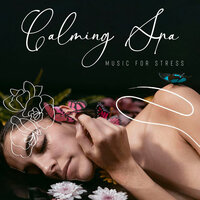Equanimity Meditation - Spa Music Consort & Sauna Spa Paradise
