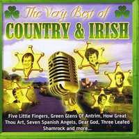 Star Of The County Down - Brian Coll