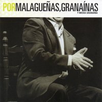 Me mandaste a decir (Granaína) - Gabriel Moreno