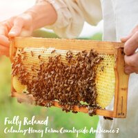 Calming Honey Farm Countryside Ambience, Pt. 15 - Steve Brassel