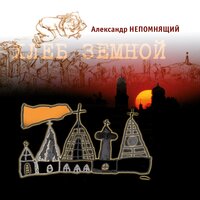 Сны серого кота - Александр Непомнящий