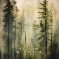 Bortom Skogen - Logic Moon & Henrik Meierkord