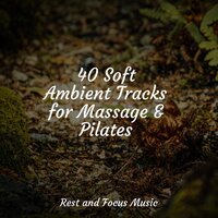 Finding Peace - Relax Meditation Sleep & Academia de Música con Sonidos de la Naturaleza & Baby Sleep Music