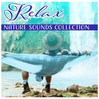 The Soothing Sounds of Peace - Just Relax Music Universe