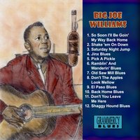 El Paso Blues - Big Joe Williams
