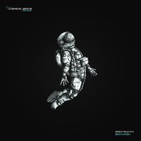 Backwash - Spektrum