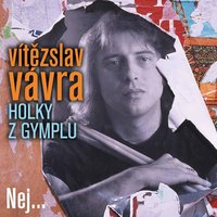 Pamětník - Vítězslav Vávra