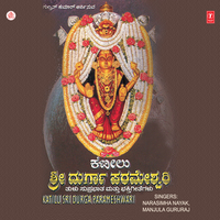 Sarvashakthi Bhramarina... - Puttur Narasimha Nayak
