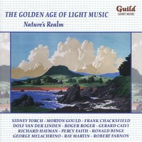 Stormy Weather - Morton Gould And His Orchestra