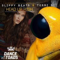 Head Up High - Slippy Beats & Terri B!