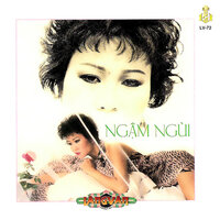 Cành Hoa Trắng - Thái Hiền