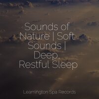 Seaside Air - Reiki Music & Binaural Beats Isochronic Tones Lab & nature & Sounds Background
