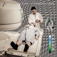 Aika mennä kotiin - Stepa