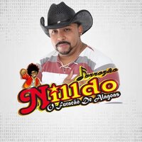 Amor de Verão - Nilldo Furacão de Alagoas