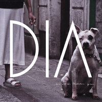 Schwarzweiß - Dia