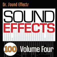 Rattlesnake 2 - Pro Sound Effects Library