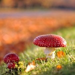 Лучшие новинки Сентября 2016