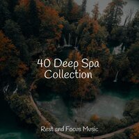 Hymn of the Earth - Meditação Maestro & Spa & Spa & Happy Baby Lullaby Collection