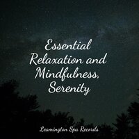 Massage Music - Oasis of Meditation & Massage Music & Internal Yoga