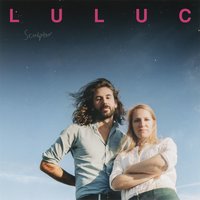 Sculptor - Luluc