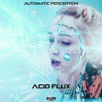 Flipflap - Acid Flux
